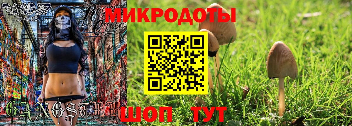 Галлюциногенные грибы Psilocybine cubensis  Вход с VPN  Галлюциногенные грибы GOLDEN TEACHER  Анжеро-Судженск 
